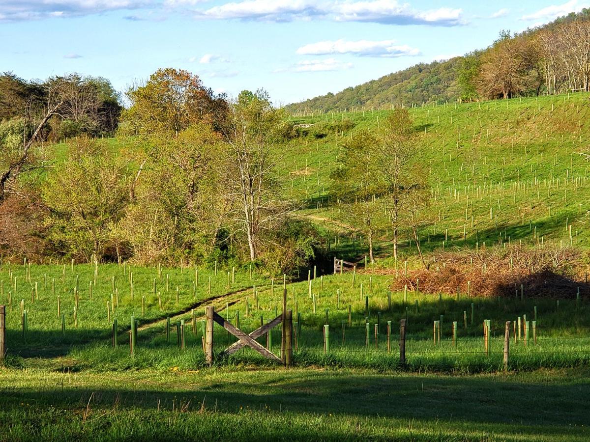 Walnut Run Farm Villa Woodville Exterior foto