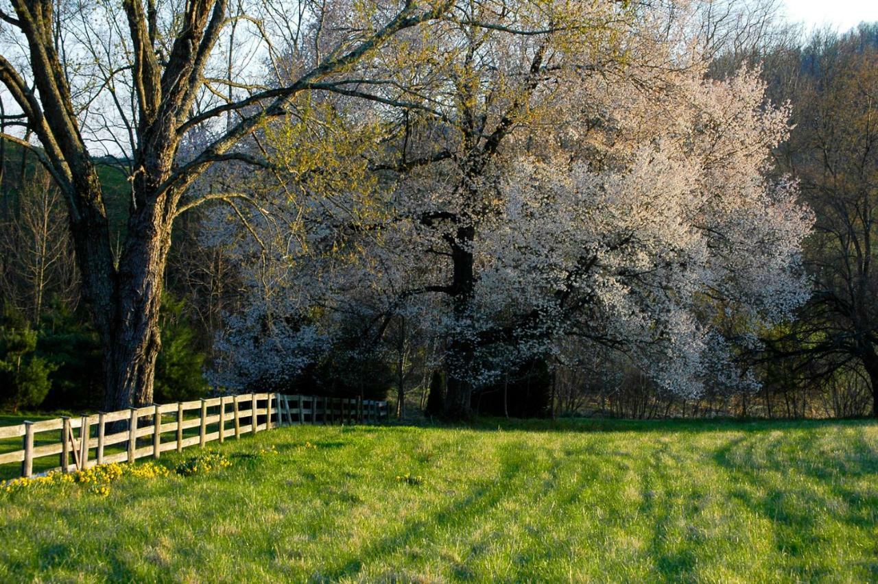 Walnut Run Farm Villa Woodville Exterior foto