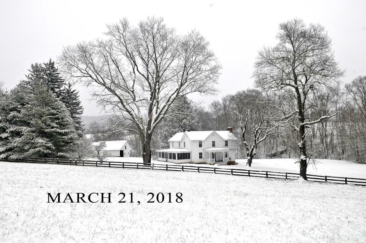 Walnut Run Farm Villa Woodville Exterior foto